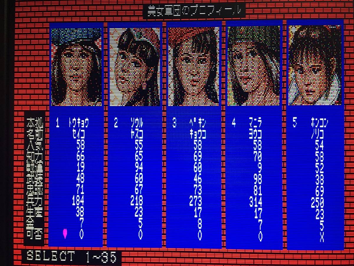 ソフトプラン　聖女帝国アマンザス　PC-8801版（5インチFD3枚　パッケージ、カタログ、説明書。起動確認済）送料込み_画像9