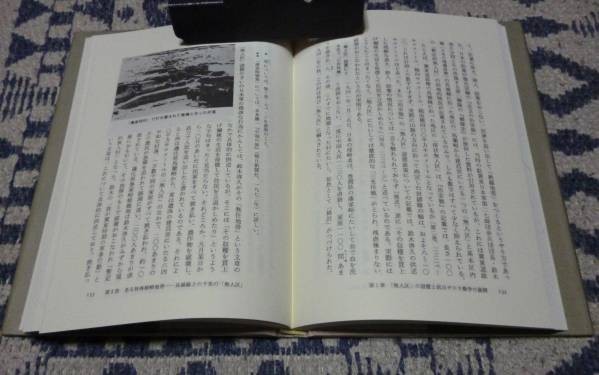 三光作戦