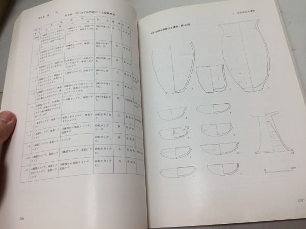 ●K214●本宿郷土遺跡発掘調査報告書●群馬県富岡市教育委員会●昭和56年●付図付き●即決_画像5