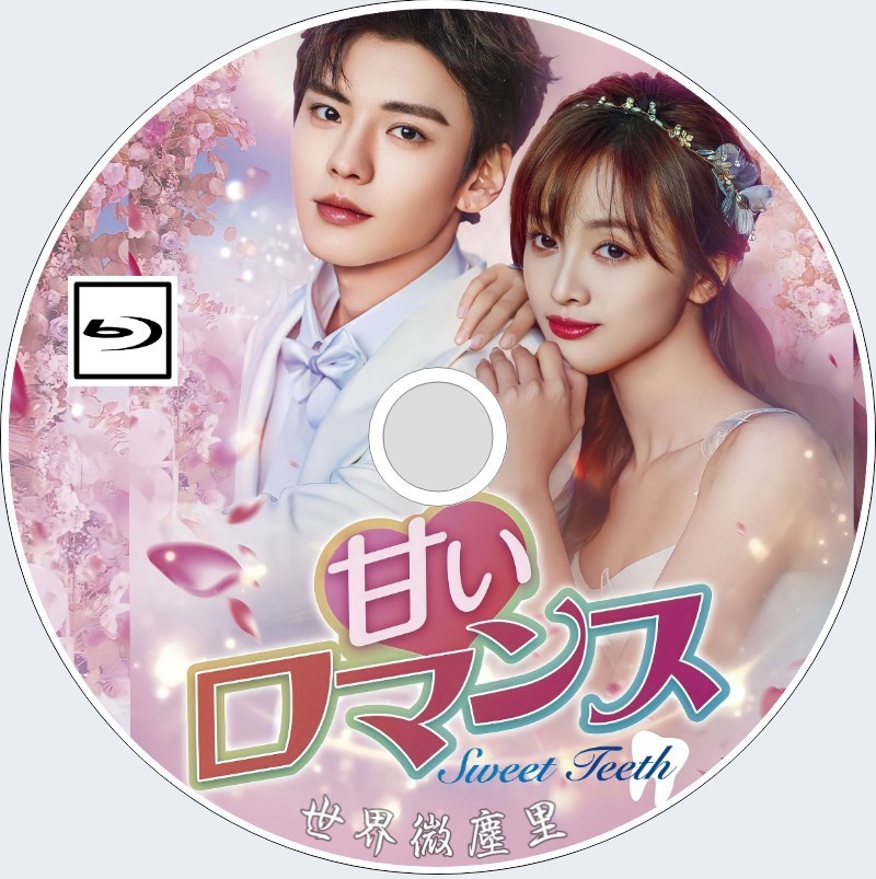 甘いロマンス~Sweet Teeth~」全22話 ビー・ウェンジュン 甘いロマンス~Sweet Teeth~」全22話 ビー・ウェンジュン