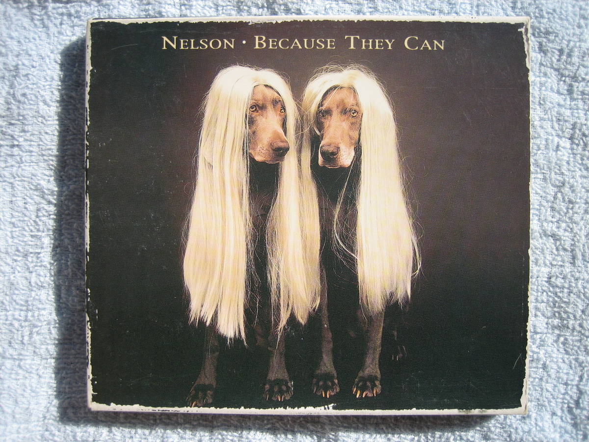 CD　ネルソン　ビコーズゼイキャン　国内盤・中古品　NELSON_画像1