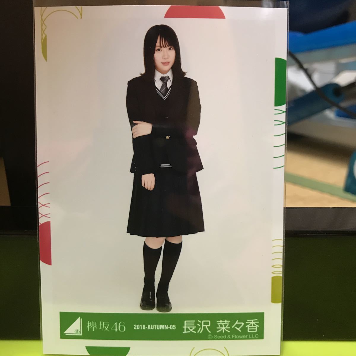 欅坂46『もう森へ帰ろうか？』MV衣装 生写真 長沢菜々香 ヒキ_画像1