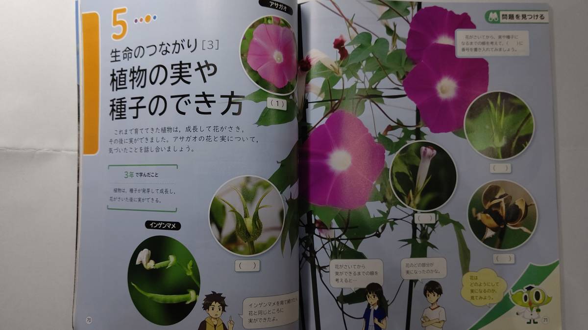 【教科書】（未使用）たのしい理科５年 大日本図書 （４大日本 理科５02）小学校理科用_画像3