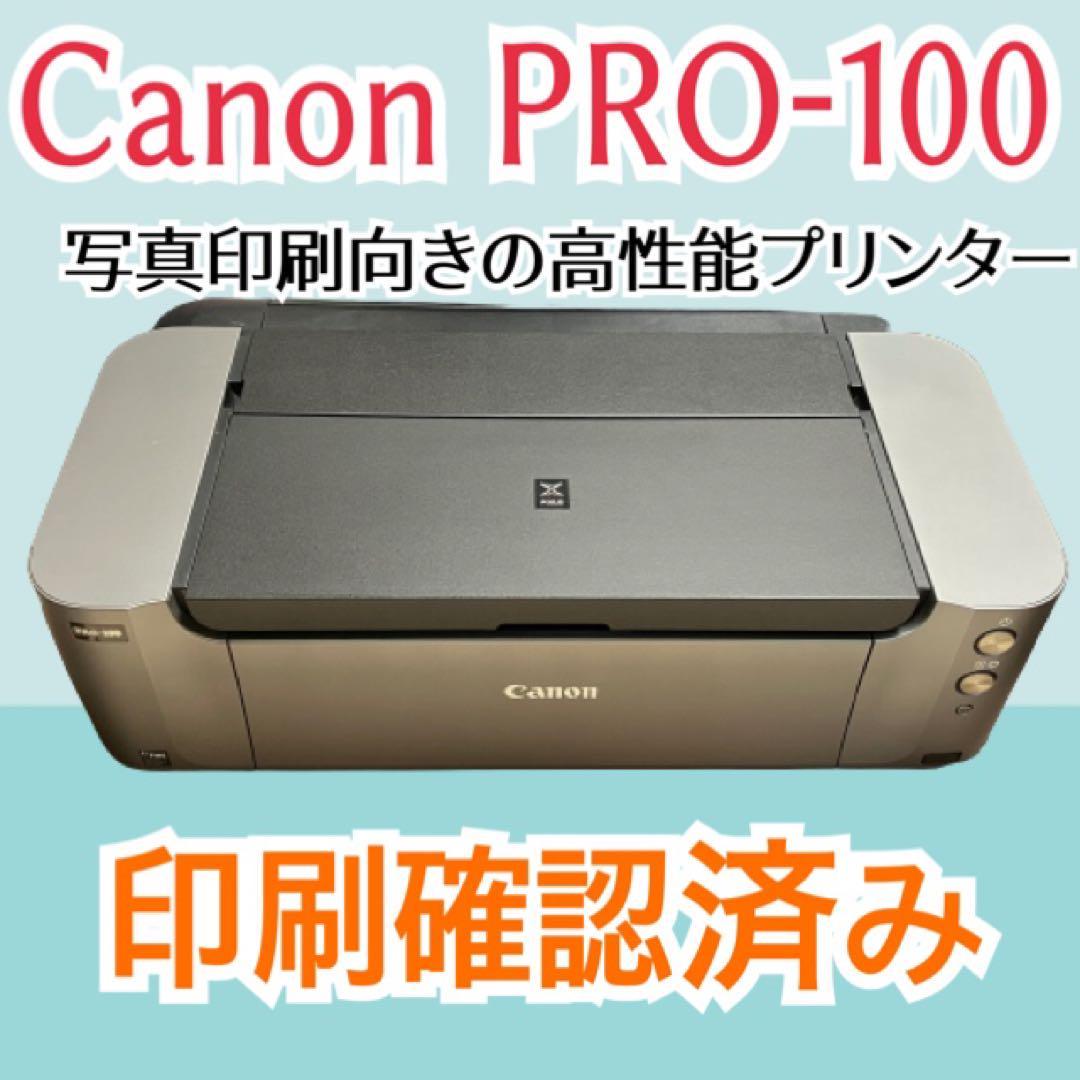 期間限定お試し価格】 pro-100 Canon A3ノビ 印刷 写真 プロ機材