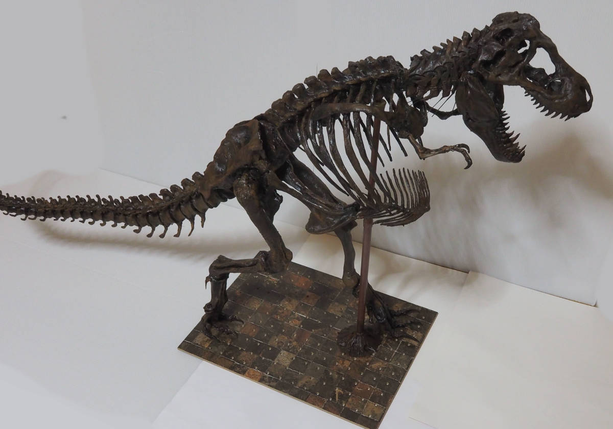 ティラノサウルス T REX 全長約mm ジュラシックワールド