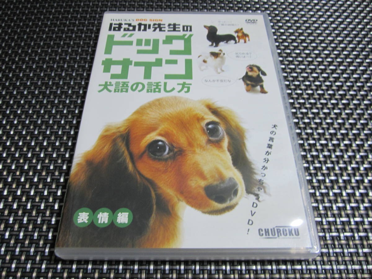 ☆癒し！はるか先生のドッグサイン 犬語の話し方 表情編 [DVD] 大人気商品(*^^)v_画像1