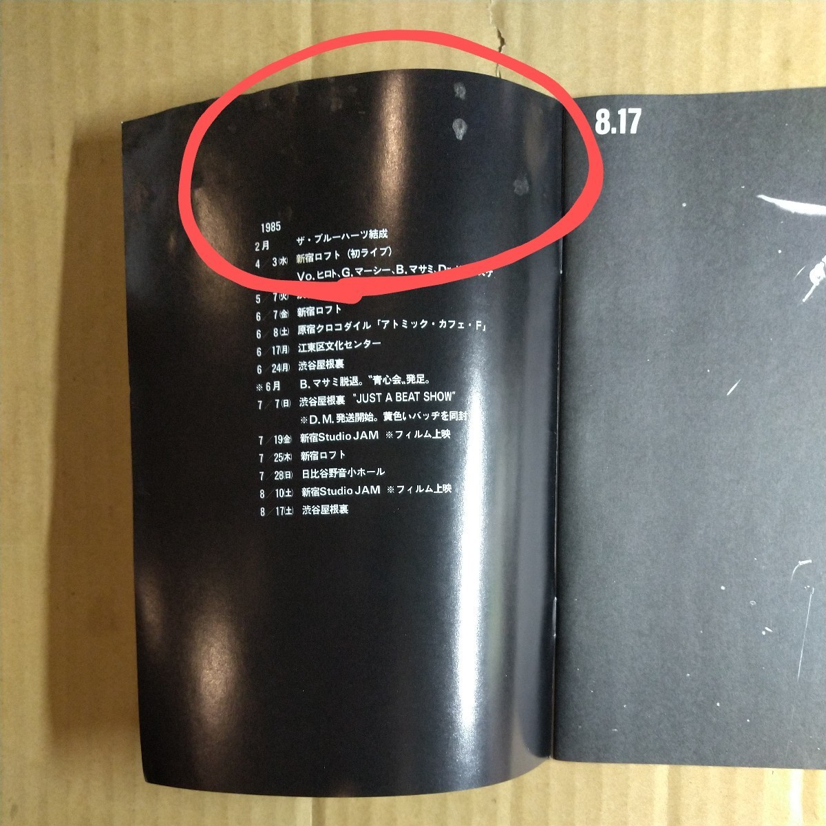 バイオグラフィー表紙裏面(P2)赤部シミ