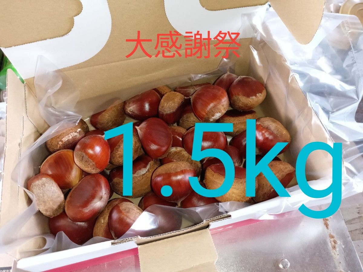 [❶]9 14収穫1kg[発送時1.2kg] 茨城 笠間 生栗