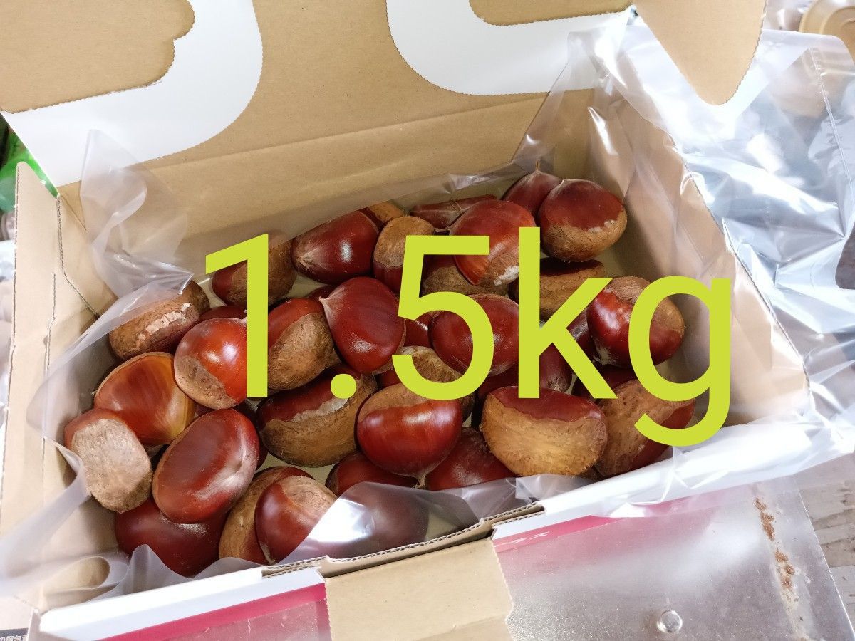 茨城の栗 サイズ混合 栽培期間中完全無農薬 1.5kg - 通販