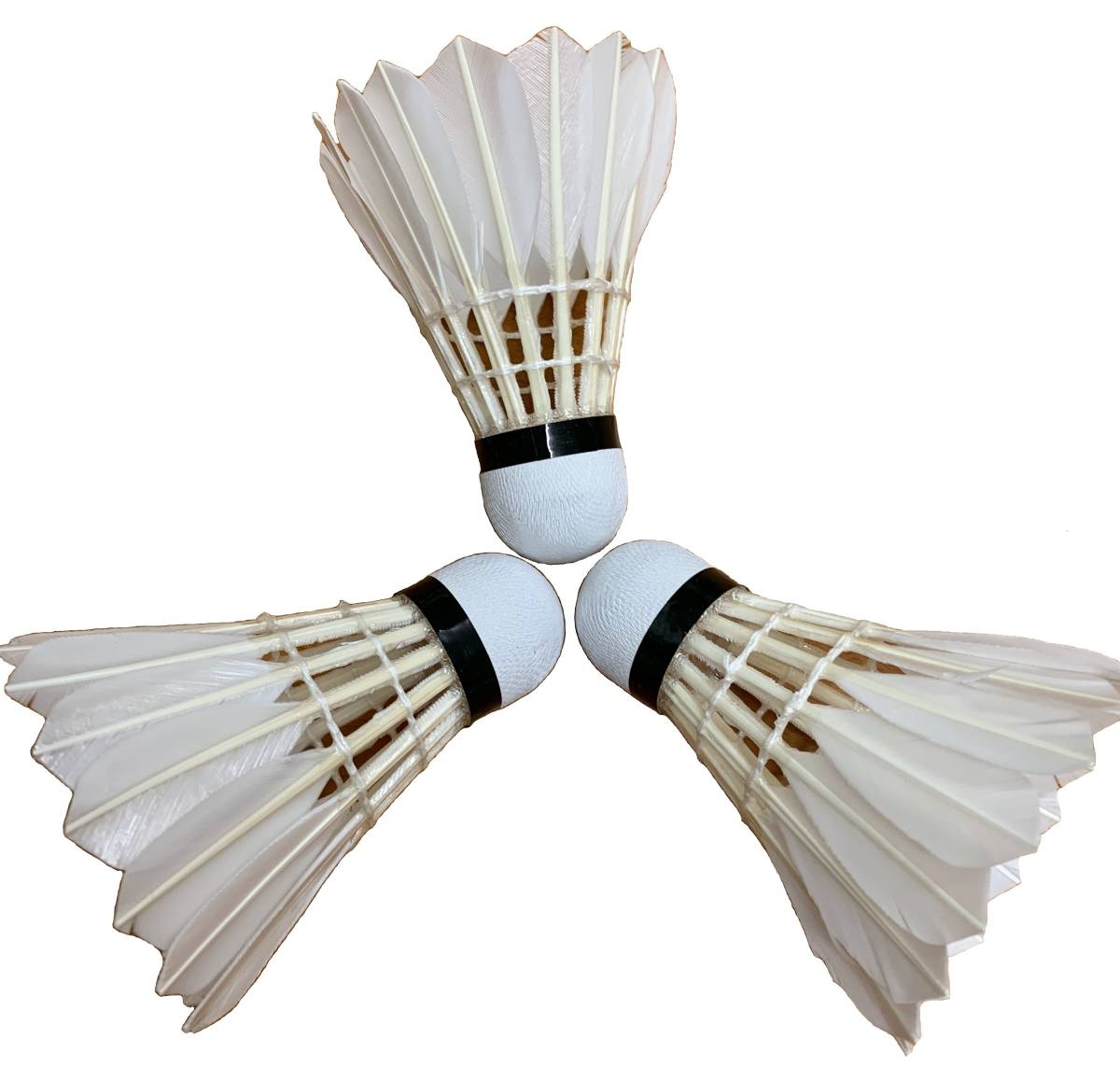 練習用水鳥シャトルコック　高品質のグース（ガチョウ）の羽１６枚使用　６０個　（１２入り×５本）高耐久性Aグレード品