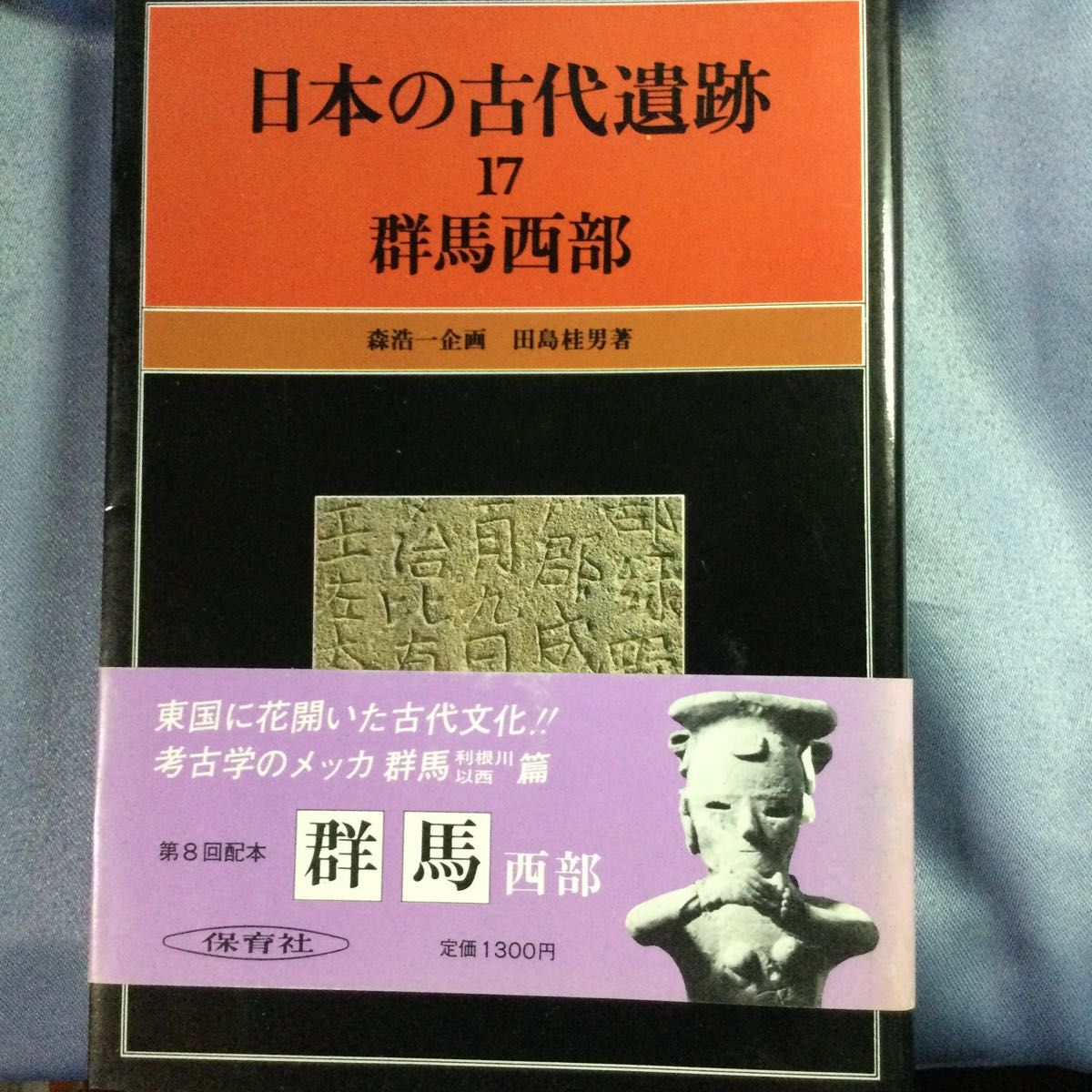 日本の古代遺跡　１７　群馬西部　保育社