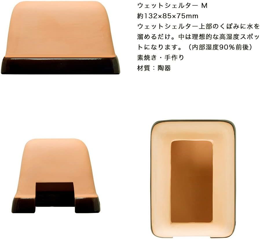 sdo- мокрый ракушка ta-M стоимость доставки единый по всей стране 520 иен zen acid ko Rene . популярный 