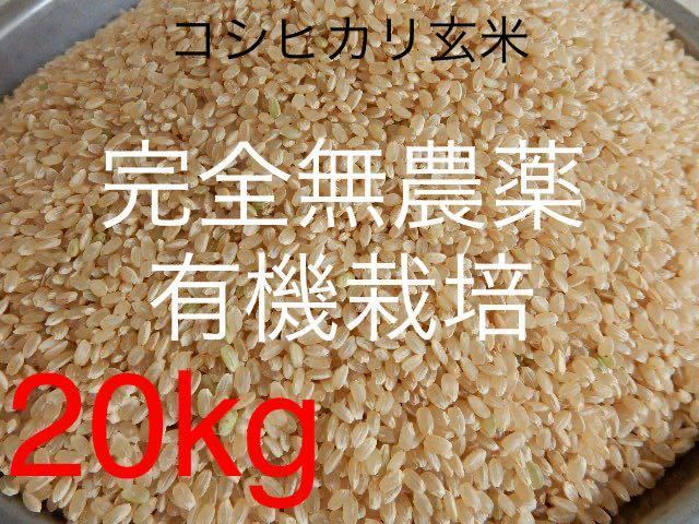 令和5年 とれたて新米 完全無農薬 有機栽培 20キロ 『一等米』コシヒカリ玄米 美味しい実家のお米 !送料無料!精米無料!