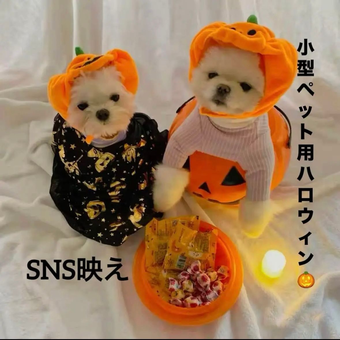 ペット ハロウィン コスプレ かぼちゃ帽子 犬 猫