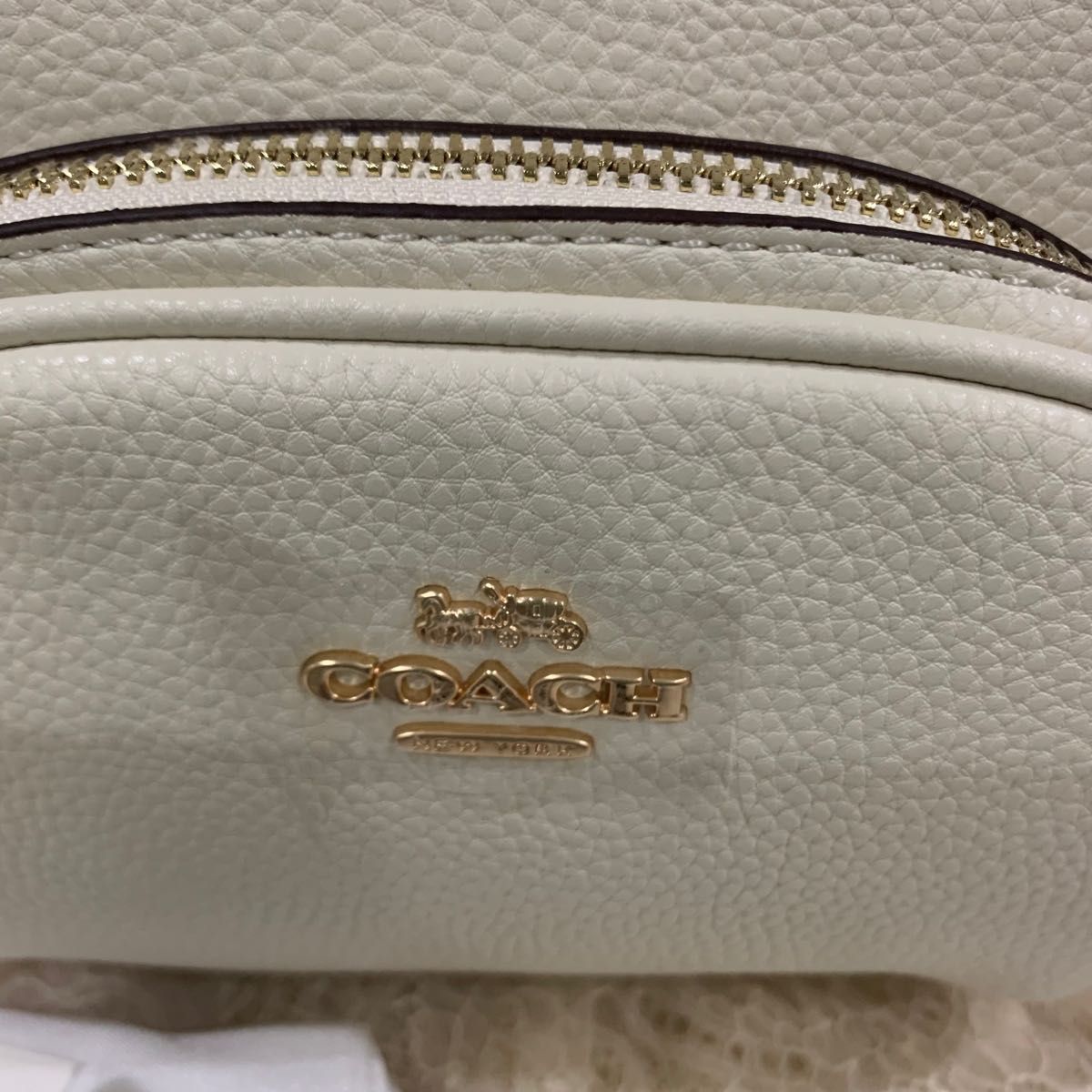 問い合わせ多数 お早目に 新品 コーチ COACH リュックサック 問い合わせ多数 お早目に 新品 コーチ COACH リュックサック