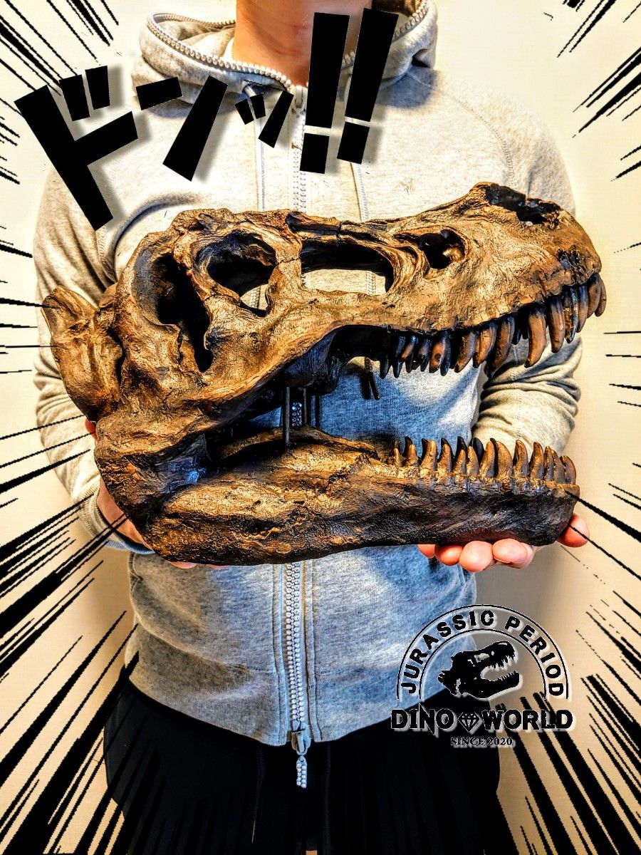 お得な2個セット】 ティラノサウルス&トリケラトプス 恐竜の お得な2個セット】 ティラノサウルス&トリケラトプス 恐竜の