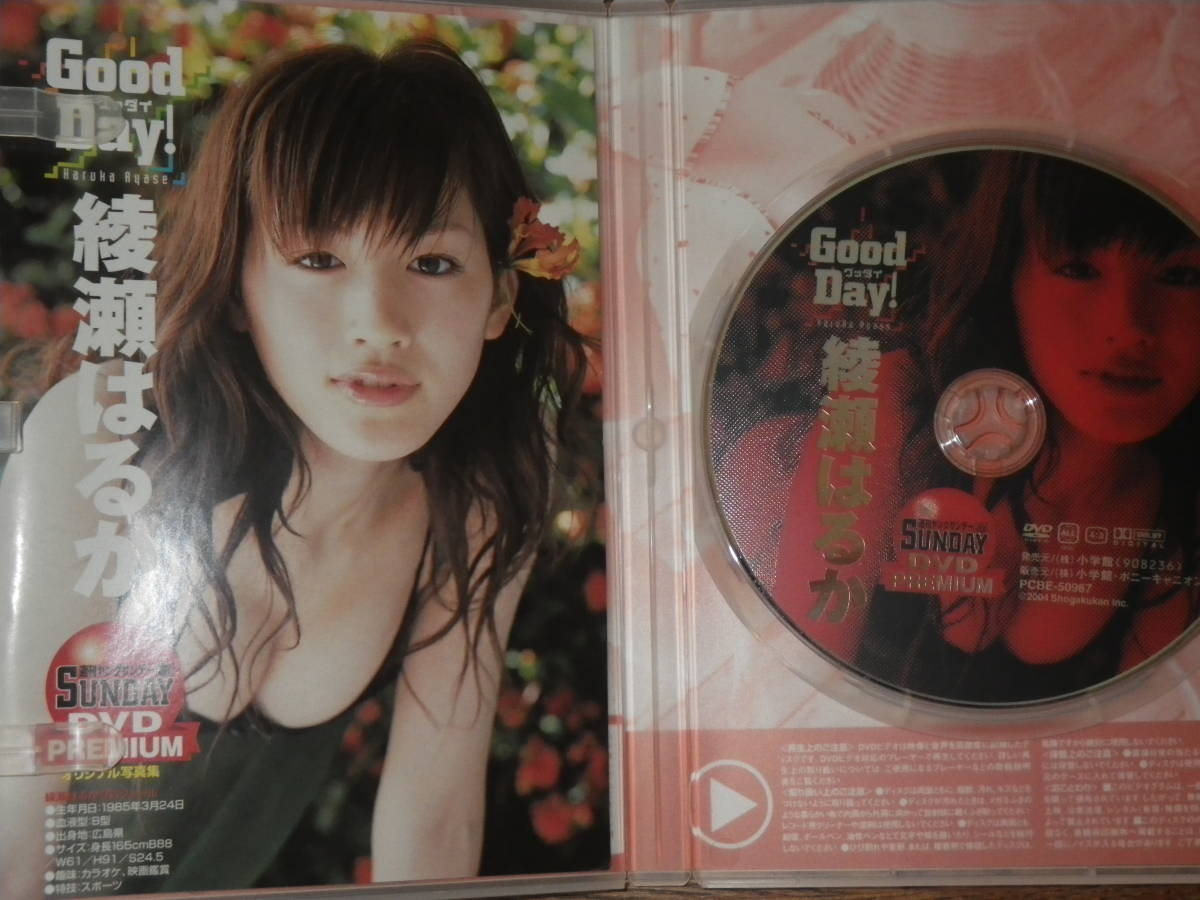綾瀬はるか 揺れる17才 Good Day DVD2枚セット クリアファイル2枚付