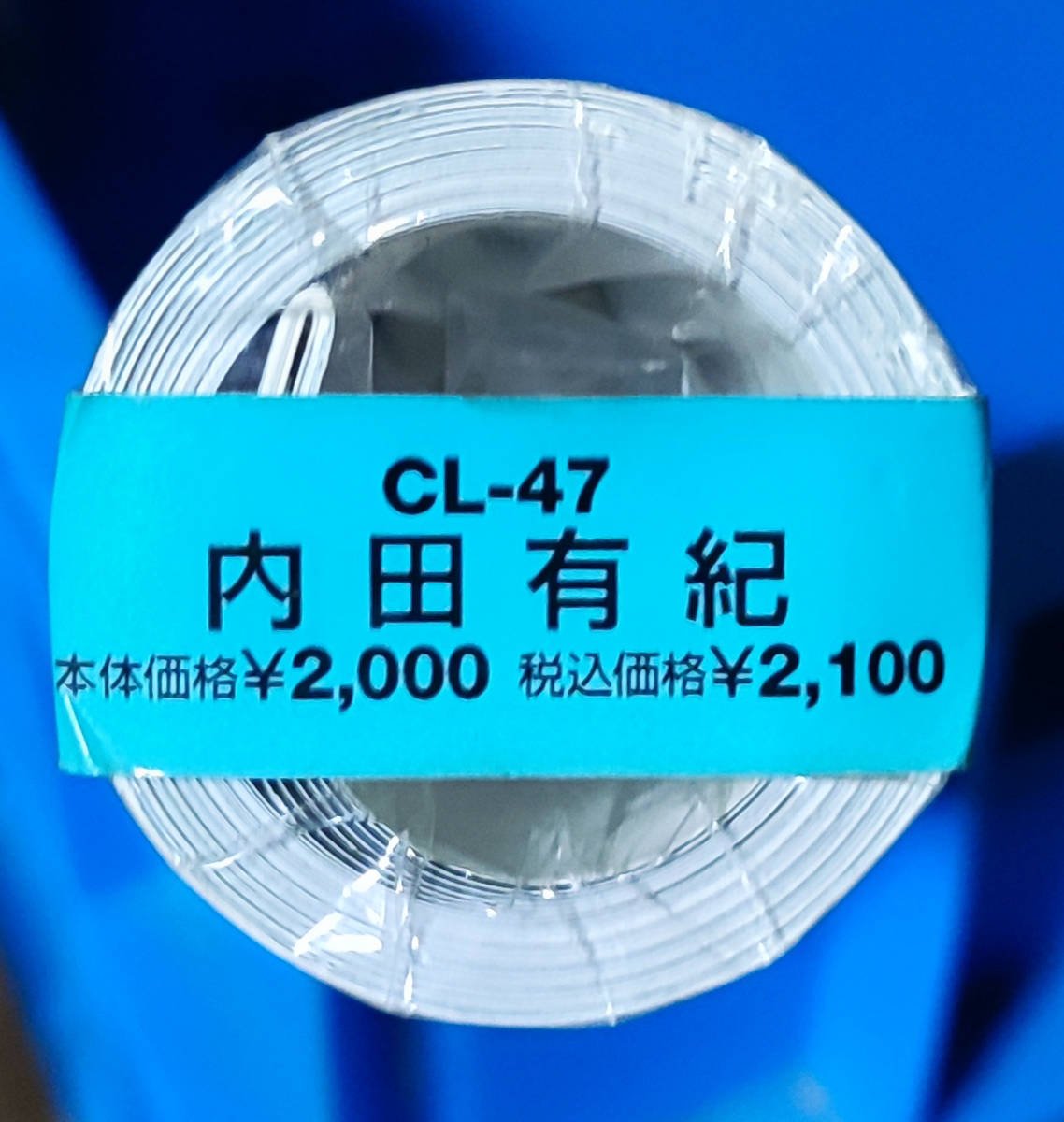 あなたにおすすめの商品 送料無料即決!内田有紀 1999年 カレンダー B2サイズ 7枚綴り。新品未開封。ハゴロモ TRY-X 芸能人、タレント