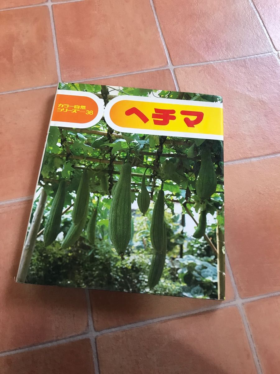 used ヘチマ　カラー自然シリーズ　36 偕成社　図鑑　へちま　自由研究
