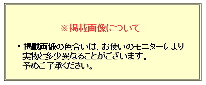 日本製　ネクタイ　甲州織　シルバー/メランジ調：砂子織　帝人 テトロン糸使用　洗濯機OK　メール便OK　BUN-SN01_画像6