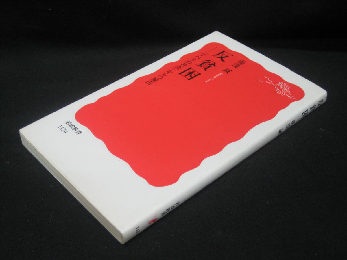 ★☆【送料無料　湯浅誠　反貧困 「すべり台社会」からの脱出 (岩波新書) 岩波書店】☆★_画像3