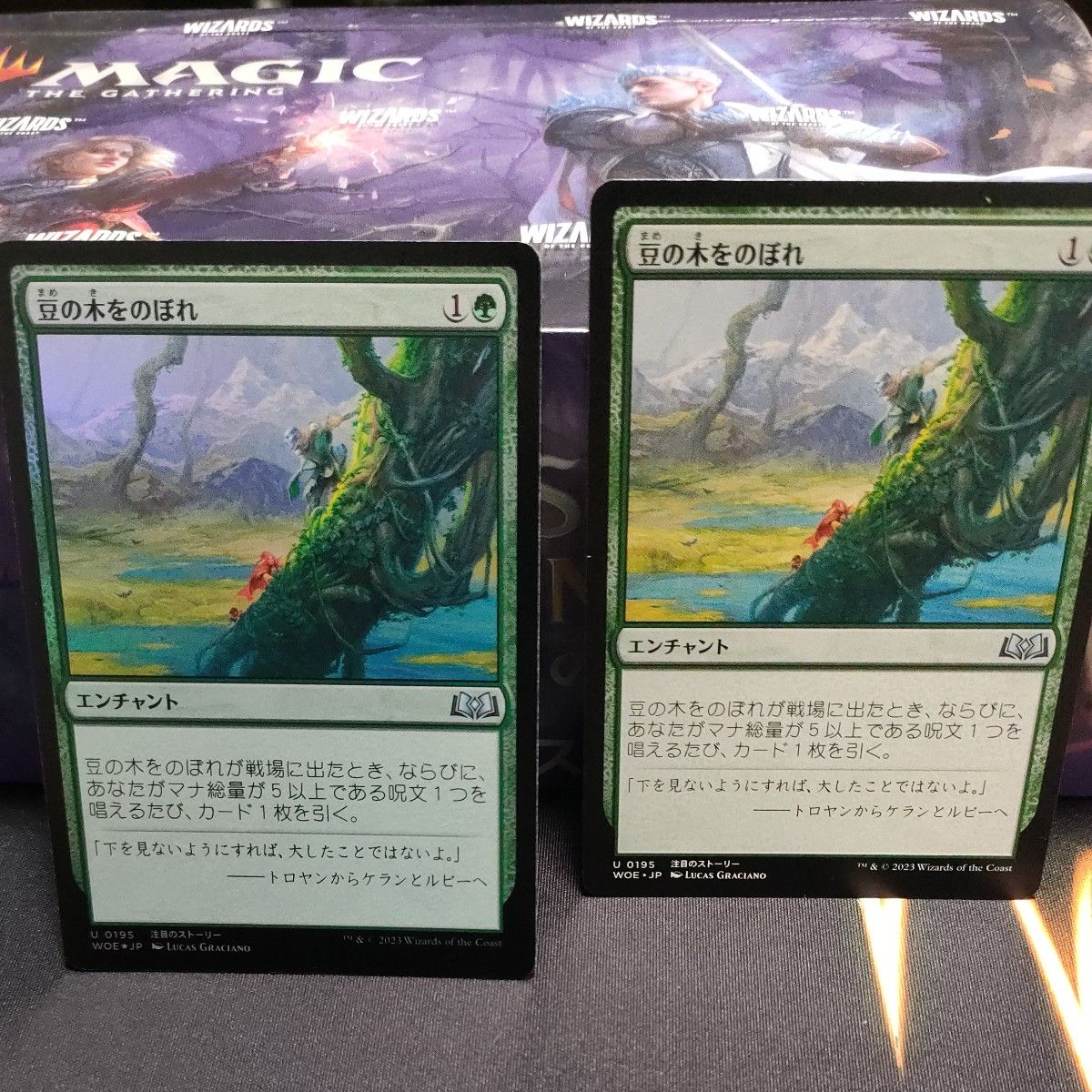 MTG 日本語版 豆の木をのぼれ Foil 非Foilセット