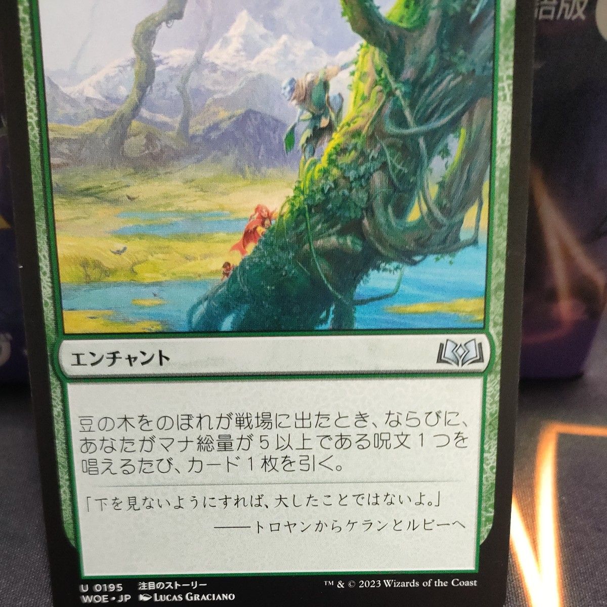 MTG 日本語版 豆の木をのぼれ Foil 非Foilセット