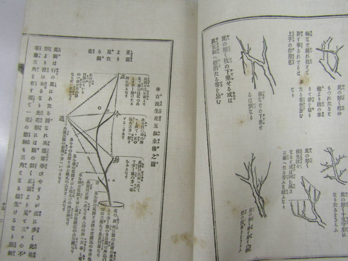 印象のデザイン 松月堂古流 生花指南初歩 古書・古文書 明治三十六年(P205) 和書