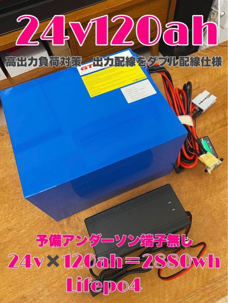 GTK 24v 120ah Lifepo4 ミンコタ モーターガイド ガーミン フットコン エレキ ツアー リチウム リチビー