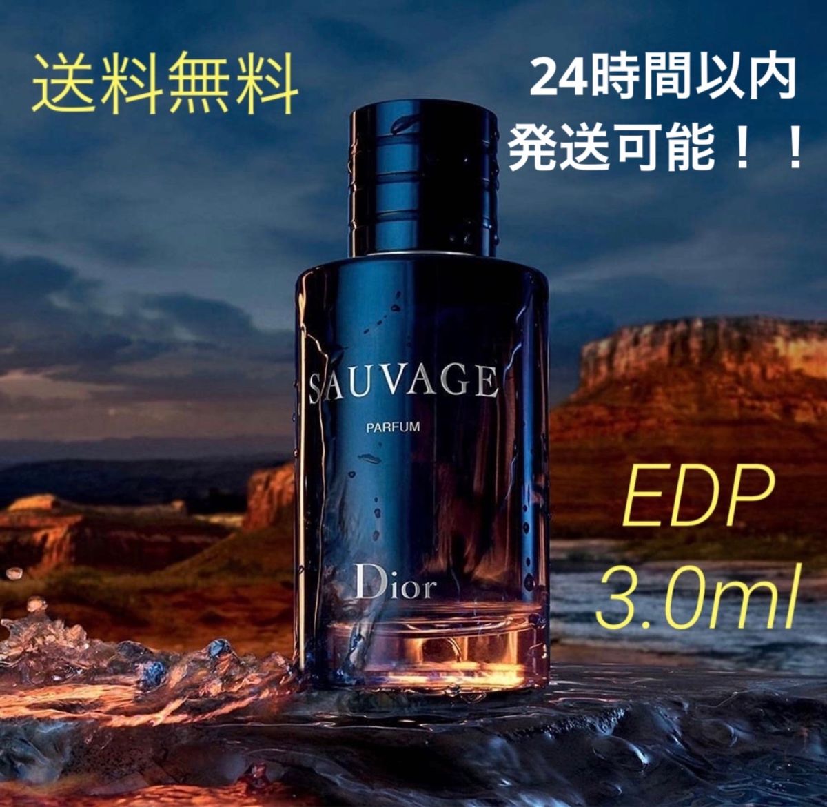 dior sauvage ソバージュ 香水 パルファン - 香水(男性用)