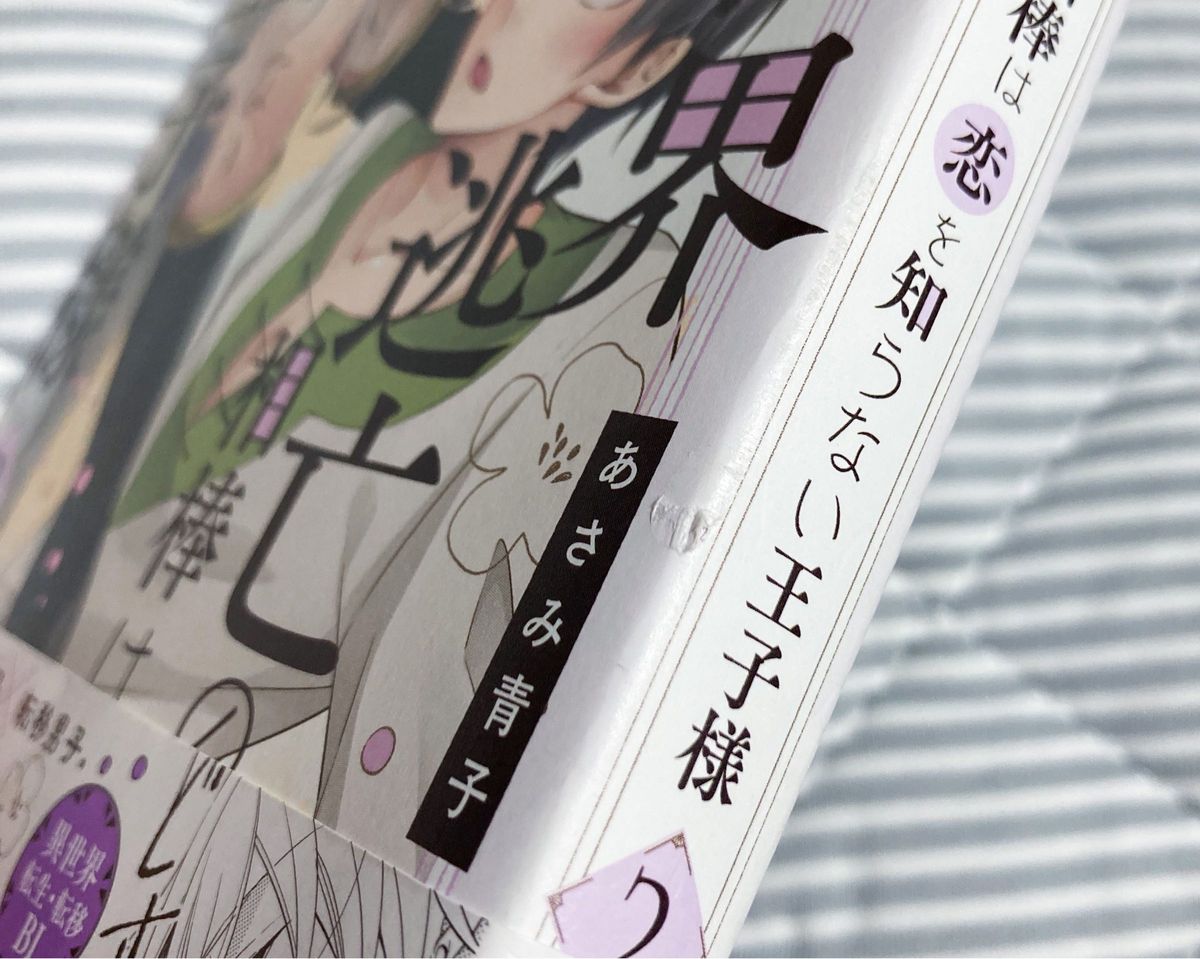 異世界逃亡の相棒は恋を知らない王子様　1〜3巻セット　あさみ青子　BLコミック 漫画