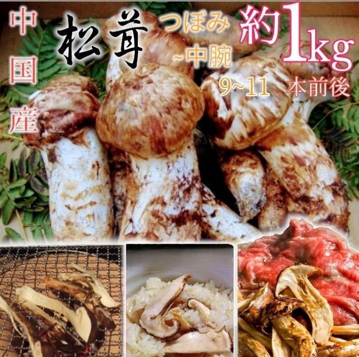 中国産 L~2L特大【天然 つぼみ 松茸 1kg】 本数 10~15本 まつたけ