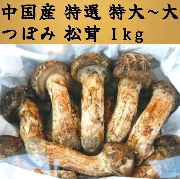 中国産 L~2L特大【天然 つぼみ 松茸 約850g】 本数 7～14本-