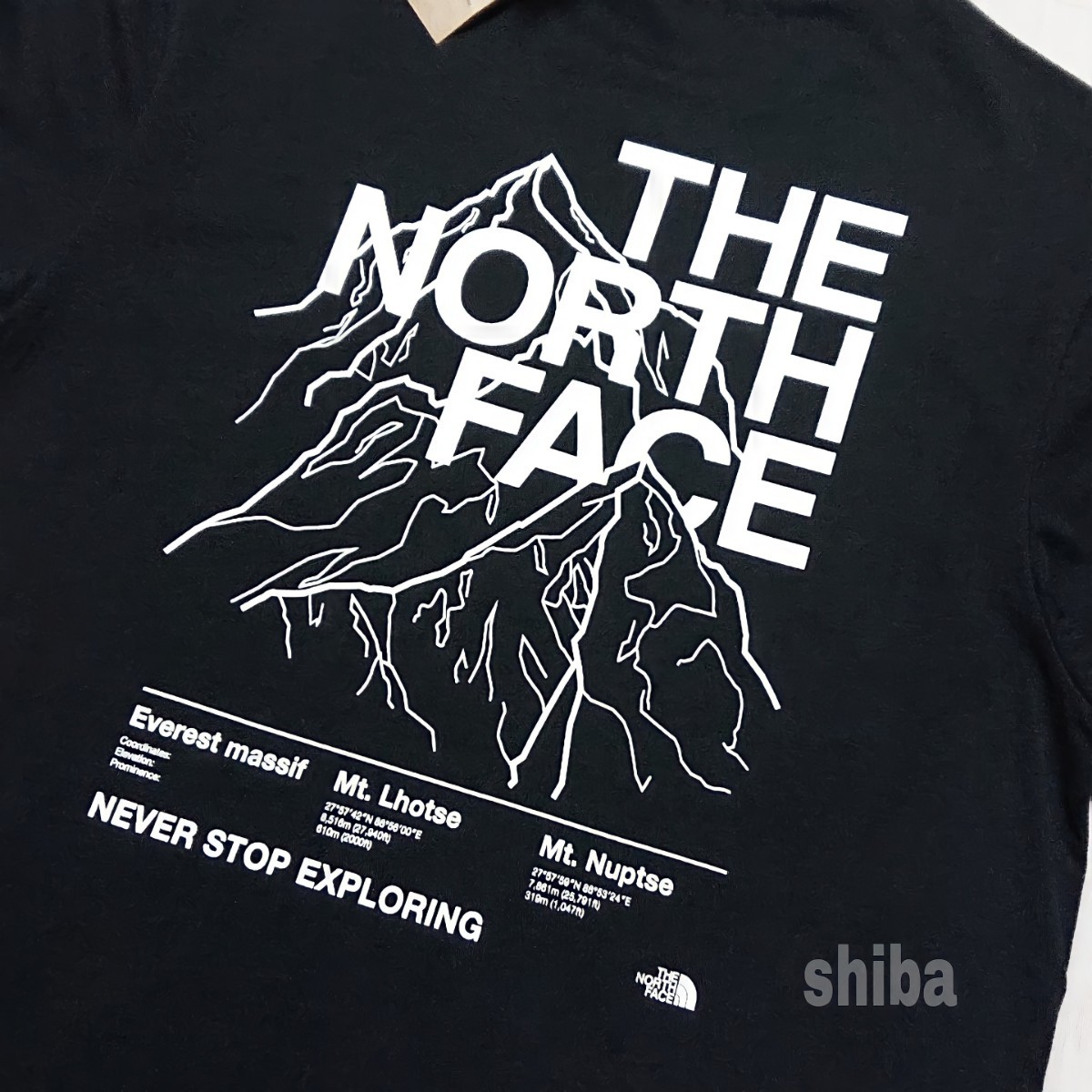 THE NORTH FACE ノースフェイス　tシャツ 半袖 黒 ブラック 白 ホワイト マウンテン アウトライン 海外Lサイズ_画像2