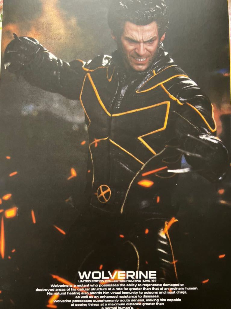 ホットトイズ　ウルヴァリン X-MEN:ファイナルディシジョン ラストスタンド ムービーマスターピース 1/6 HOTTOYS MARVEL ローガン 開封品_画像2