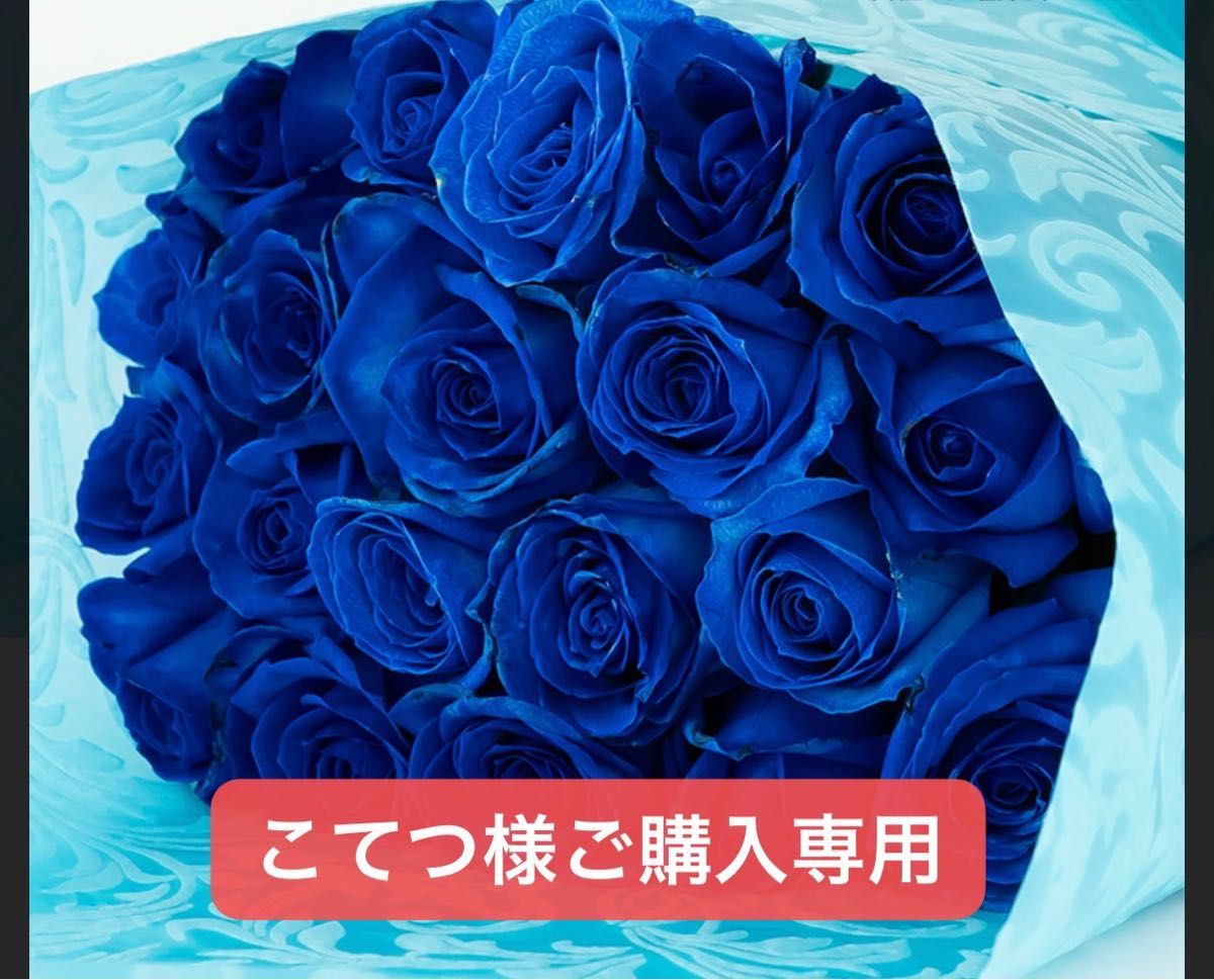 こてつ様ご購入専用ページ|Yahoo!フリマ(旧PayPayフリマ)