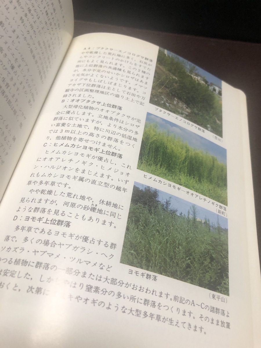 【新・日野の植物ガイドブック】日野の自然を守る会　古書　カラー写真【23/09 ST5】_画像2