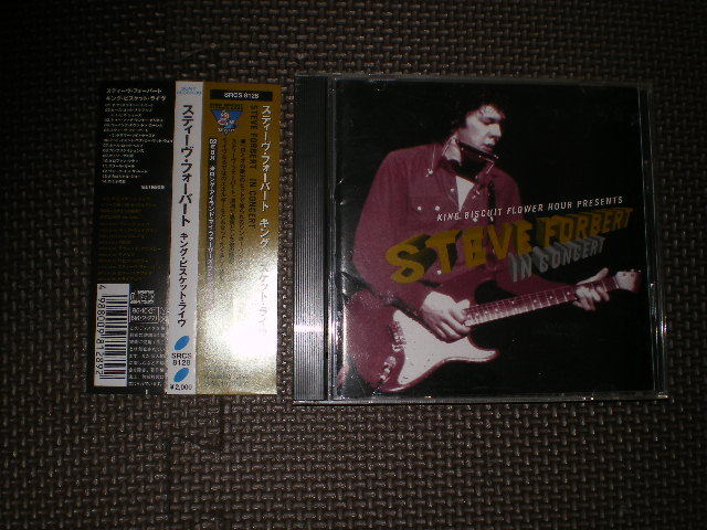 STEVE FORBERT[In concert] _画像1