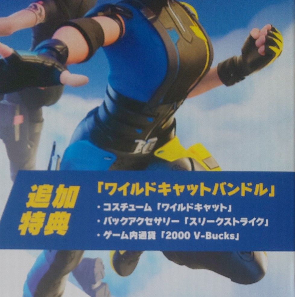 未使用】Nintendo Switch フォートナイトSpecialセット 追加特典 未使用】Nintendo Switch フォートナイトSpecialセット 追加特典
