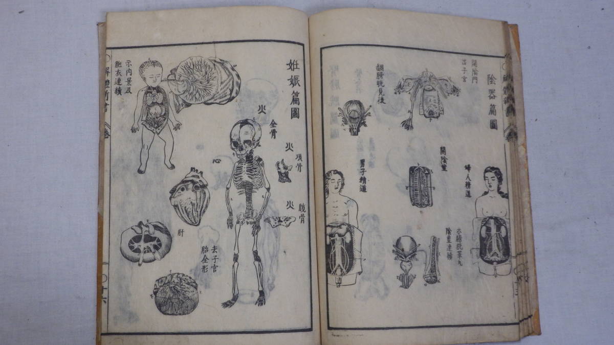 江戸時代医学書【解體新書】 (解体新書) 25.5x18.2cm 蘭学杉田玄白吉雄