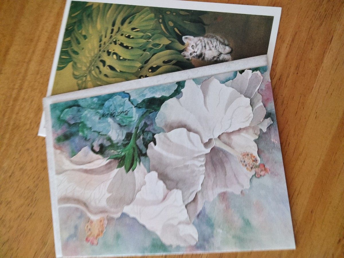ハワイの花のグリーティングカード（8枚セット）