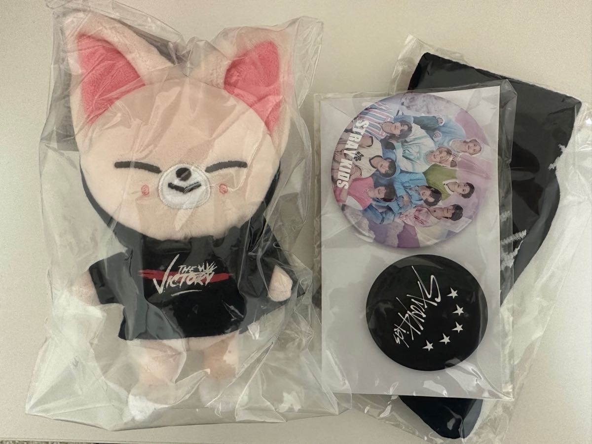 StrayKids SKZOO アイエン フォクシニー ぬいぐるみ アプグレ 缶バッジ 靴下 3点セット