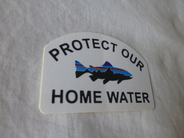 patagonia PROTECT OUR Fitzroy HOME WATER ステッカー Fitzroy Trout フィッツロイ トラウト パタゴニア PATAGONIA patagonia_画像4