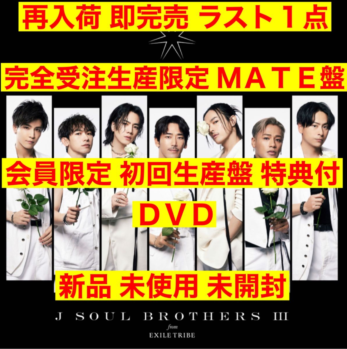 三代目 J Soul Brothers STARS 初回生産限定盤 特典付き ファン必見|DVD 三代目 J Soul Brothers STARS 初回生産限定盤 特典付き ファン必見|DVD