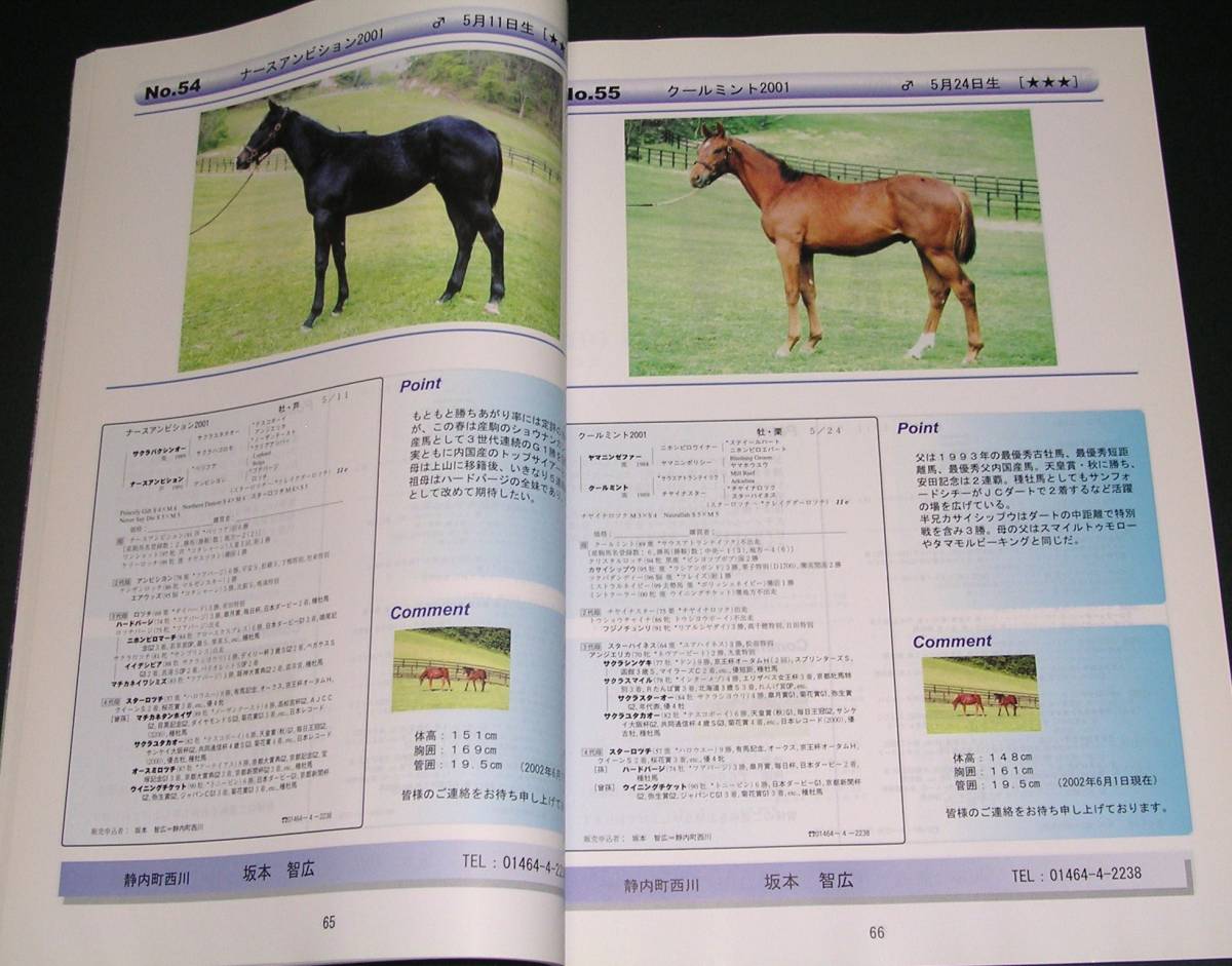 【中古雑誌】Currere DX(クレレ デラックス)軽種馬販売情報誌　2001年生産サラブレッド１歳_画像4