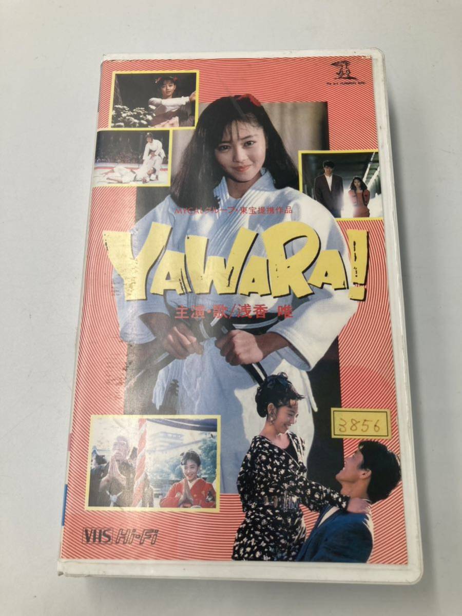 低価格 YAWARA ヤワラ ビデオ VHS 浅香唯 その他 - fishtowndistrict.com