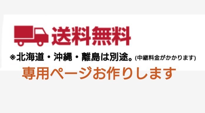 和装トルソー　可動腕ベージュ　着付け練習用ボディ　和装ボディ　和装マネキン腕付き　ベージュ　送料無料_画像10