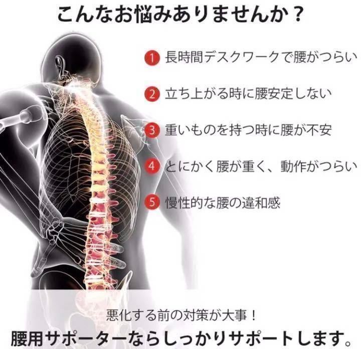 【新品送料無料】 腰痛ベルト 姿勢矯正　腰椎ベルト トレーニングベルト L_画像2