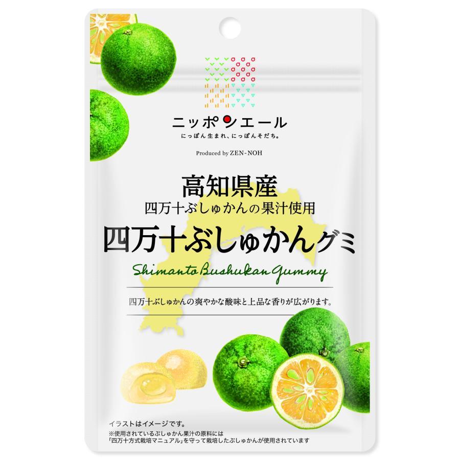 全農　ニッポンエール　高知県産　四万十ぶしゅかんグミ　40g 6袋セット 送料無料_画像1