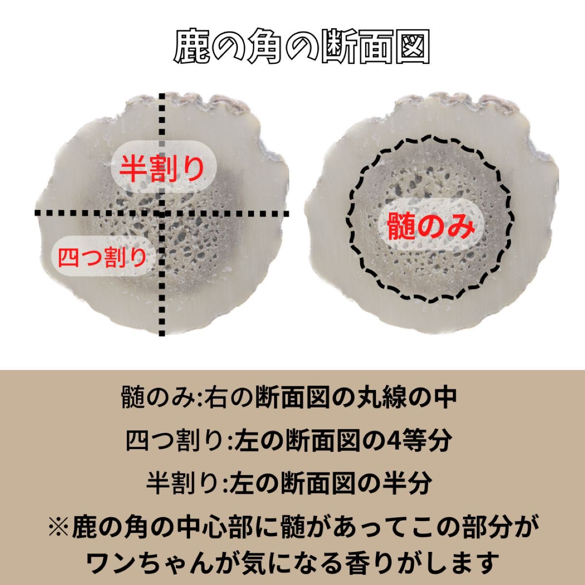 【匿名配送】超小型犬用　一本物　先端　2本セット　北海道産エゾ鹿の角　犬のおもちゃ